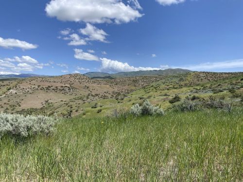 A scenic view of rolling hills covered in green grass and shrubs under a blue sky with fluffy white clouds.
