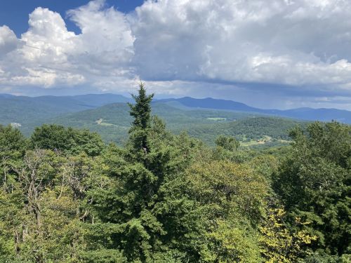 A scenic view of rolling green mountains under a partly cloudy sky, with lush trees in the foreground.
