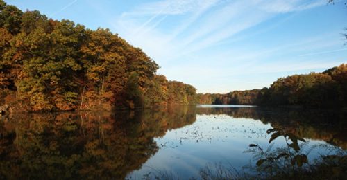 A serene lake surrounded by colorful autumn trees under a clear blue sky, reflecting the landscape in the water.