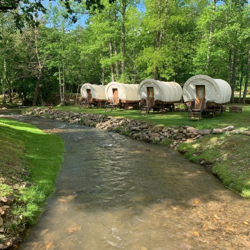 Three white covered wagons by a clear stream, surrounded by lush green trees and grass.