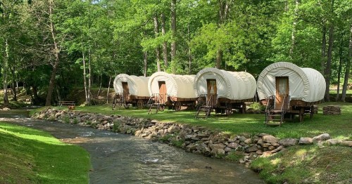 Four covered wagons lined up by a stream, surrounded by lush green trees and grass.