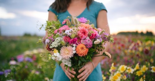 A person holds a vibrant bouquet of mixed flowers in a colorful field during sunset.