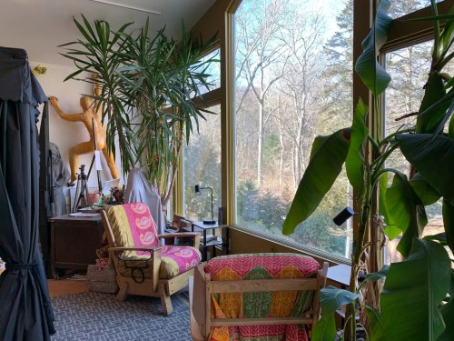 Cozy interior with colorful chairs, plants, and large windows overlooking a wooded area.