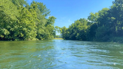A serene river scene surrounded by lush green trees under a clear blue sky.