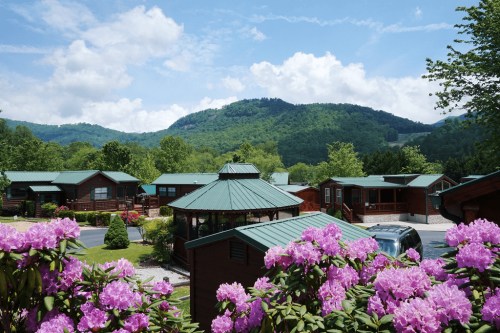 Scenic view of cabins surrounded by blooming flowers and mountains under a blue sky with fluffy clouds.