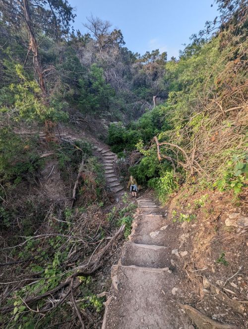 A person walks up a winding, natural staircase surrounded by lush greenery and trees.