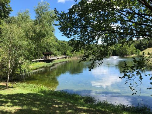 A serene lake surrounded by trees, with a fountain and a wooden deck in the background under a clear blue sky.