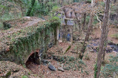 Overgrown ruins in a forest, with trees and fallen leaves surrounding crumbling stone structures.