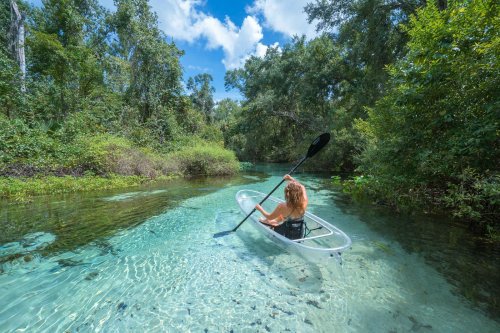 A person kayaking in clear water surrounded by lush greenery and trees under a bright blue sky.