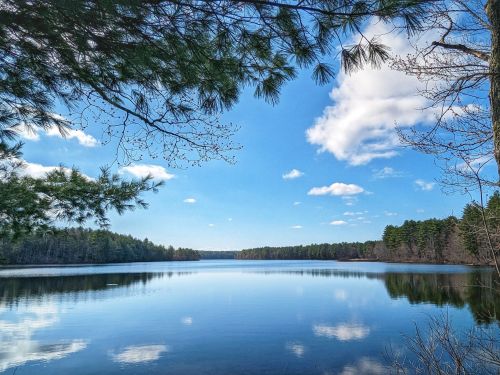 A serene lake surrounded by trees under a clear blue sky with fluffy clouds reflecting on the water's surface.