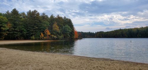 A serene lake surrounded by trees with autumn foliage, sandy shore, and a cloudy sky.