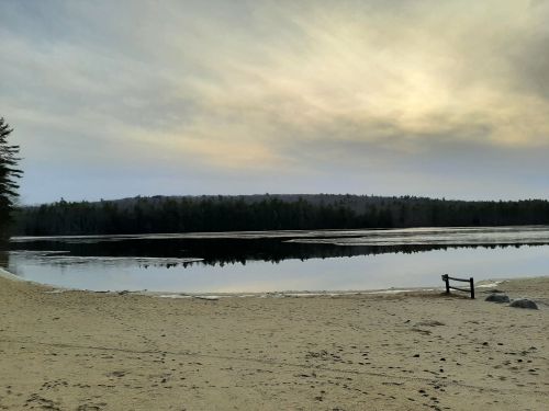 A serene lakeside view at dusk, with calm waters reflecting a cloudy sky and surrounded by trees.
