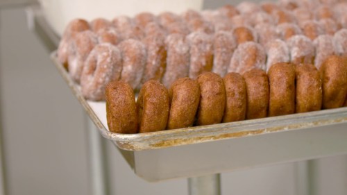 A tray of freshly made donuts, some coated in sugar, arranged neatly in rows.