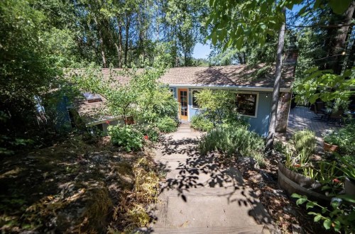 A charming blue house surrounded by lush greenery and trees, with a stone pathway leading to the entrance.