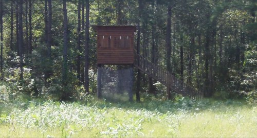 A wooden hunting tower on stilts surrounded by trees, with a grassy area in the foreground.