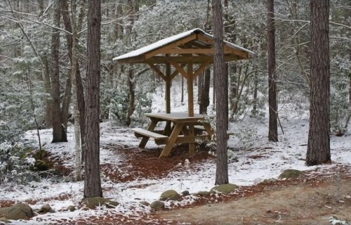 A wooden picnic shelter surrounded by snow-covered trees in a serene forest setting.