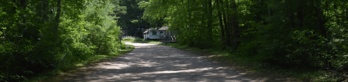 A gravel road surrounded by lush green trees, leading to a campsite with a white RV in the background.