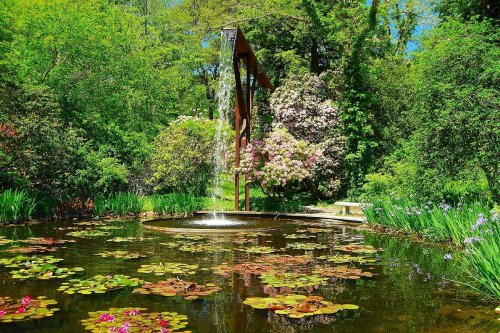 A serene garden scene featuring a pond with lily pads, a fountain, and lush greenery in bright sunlight.