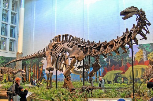 A large dinosaur skeleton on display in a museum, surrounded by visitors and a colorful prehistoric mural.