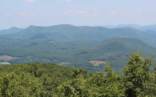 A panoramic view of rolling green hills under a clear blue sky, with trees in the foreground.