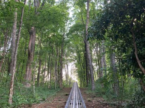 A narrow path lined with metal tracks leads through a lush green forest. Sunlight filters through the trees.