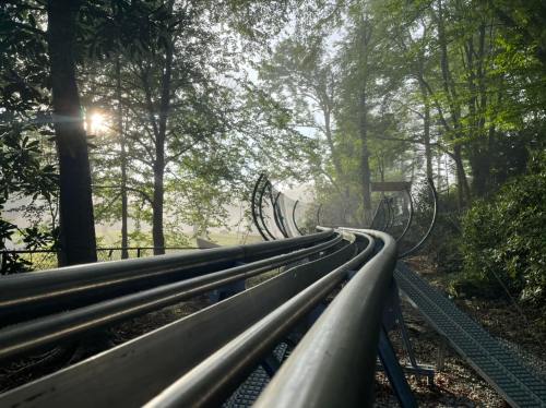 A winding roller coaster track surrounded by trees, with sunlight filtering through the foliage in a misty atmosphere.