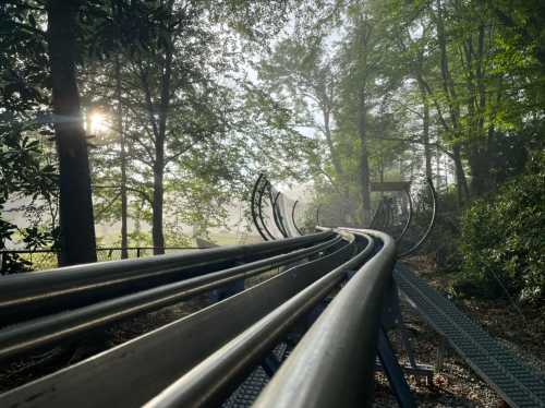 A winding roller coaster track surrounded by trees, with sunlight filtering through the foliage in a misty atmosphere.