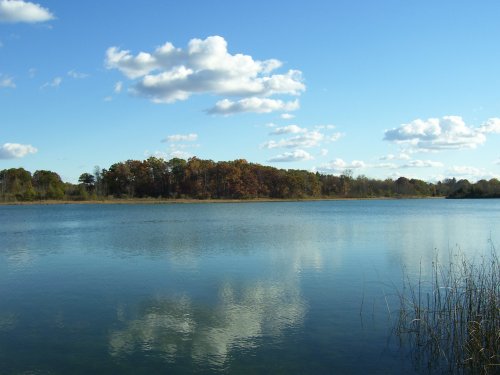A serene lake reflects fluffy clouds and trees in autumn colors under a clear blue sky.