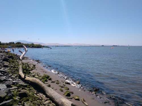 A serene beach scene with a rocky shore, calm water, and distant hills under a clear blue sky.