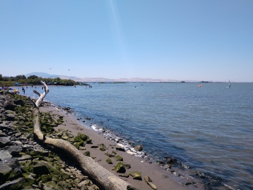A serene beach scene with a rocky shore, calm water, and distant hills under a clear blue sky.