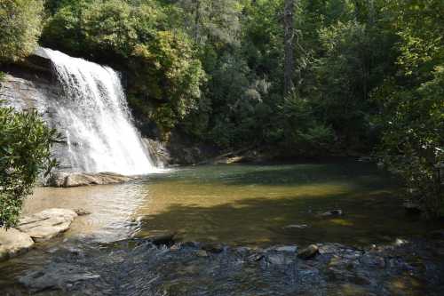 A serene waterfall cascades into a clear pool, surrounded by lush greenery and rocky terrain.