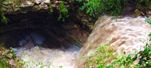 A rushing stream flows over rocky terrain, surrounded by lush greenery and plants.