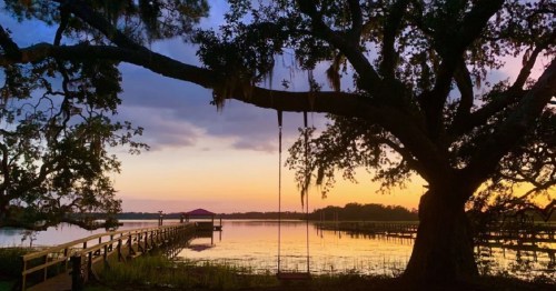 A serene lakeside scene at sunset, featuring a swing hanging from a large tree and a wooden pier extending into the water.