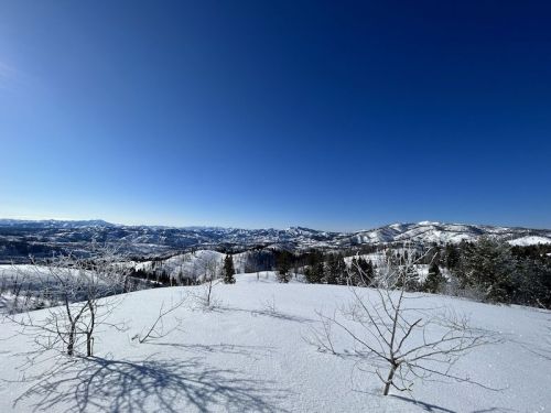 A snowy landscape with distant mountains under a clear blue sky, featuring sparse trees and a serene winter scene.