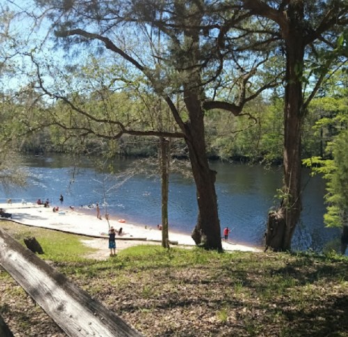 A serene river scene with a sandy beach, surrounded by trees and people enjoying the water on a sunny day.