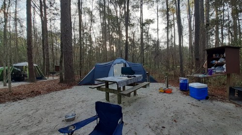 A campsite with a blue tent, picnic table, and chairs surrounded by trees and sandy ground.