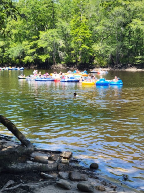 A group of people floating on colorful inner tubes in a calm river surrounded by lush green trees.