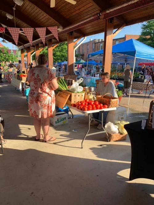 A bustling farmers market with vendors selling fresh produce under a shaded pavilion. People browse and shop.