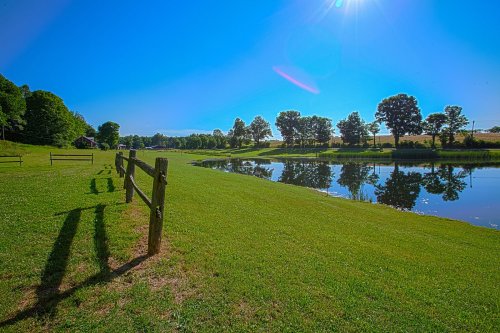 A serene landscape featuring a calm pond, green grass, and trees under a clear blue sky with bright sunlight.