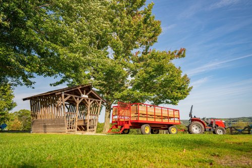 A red tractor parked next to a wooden shed and wagon under a large tree on a sunny day.
