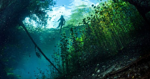 people swimming in an extraordinary natural swimming hole in America.
