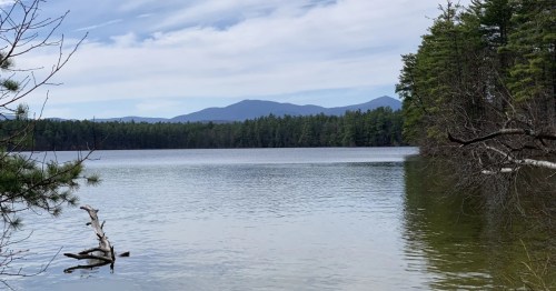 view of a lake in tamworth nh