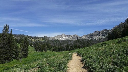 A scenic mountain landscape with a dirt path, lush green meadows, and towering trees under a clear blue sky.