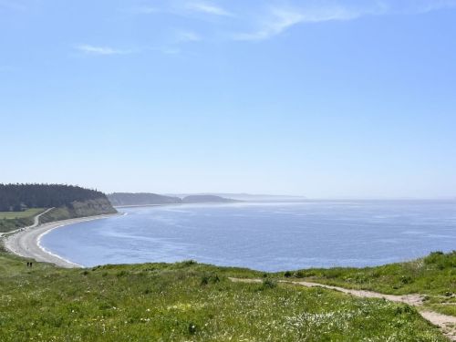 A scenic view of a coastline with a clear blue sky, grassy foreground, and gentle waves lapping at the shore.
