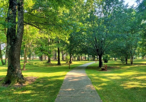 A serene park pathway winding through lush green trees and grass under bright sunlight.