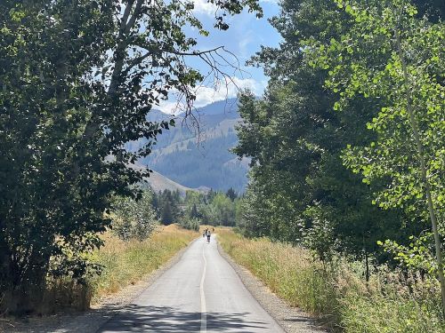 A scenic road lined with trees, leading towards mountains in the distance, with two cyclists riding ahead.