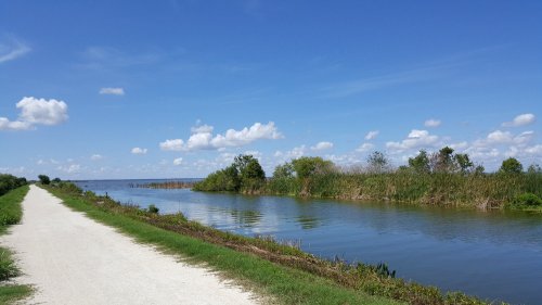 A serene waterway bordered by lush greenery under a bright blue sky with fluffy clouds.