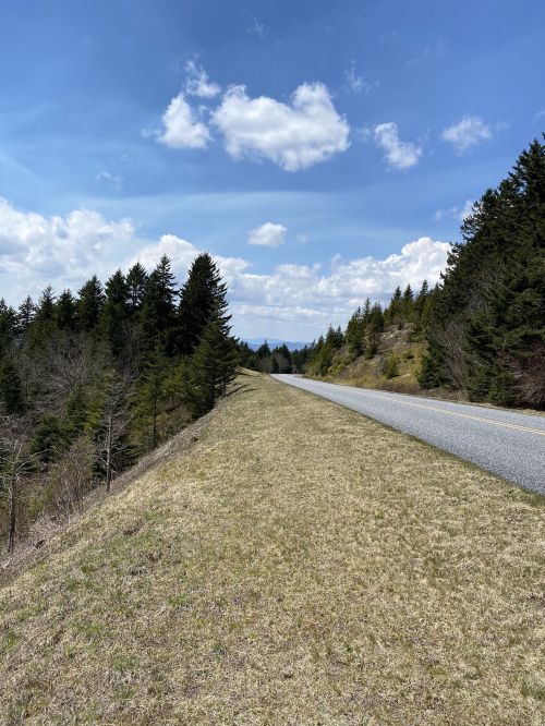 A scenic view of a road lined with trees under a blue sky with fluffy clouds, surrounded by grassy areas.