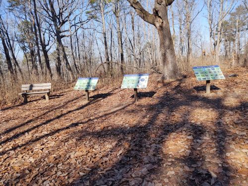 A wooded area with three informational signs and a bench on a leaf-covered ground, surrounded by bare trees.