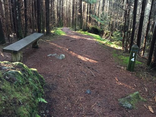 A forest path with a wooden bench on the left and a trail marker labeled "14" on the right, surrounded by trees.
